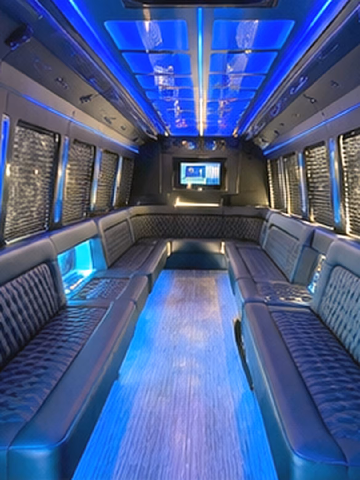 28 Passenger Party Bus Interior
