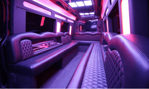 Chandler 14 Passenger Sprinter Bus Interior